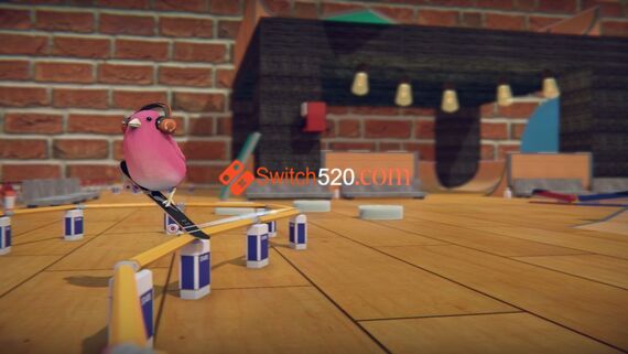 滑板鸟|官方中文|本体+1.8.0升补|NSZ|原版|_3