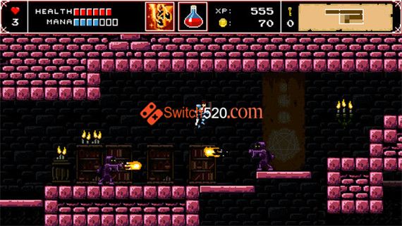 地狱之魂/完美汉化中文/本体+1.0.1升补/[NSP][原版]_5