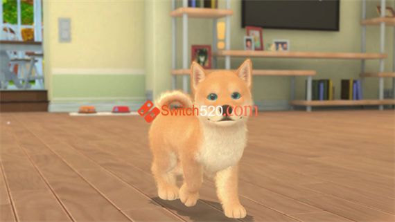 我的宇宙 小猫小狗/官方中文/本体+1.0.3整合版/[NSZ-XCI][原版]_3