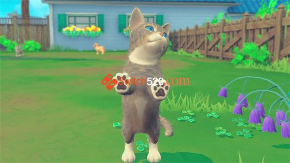 我的宇宙 小猫小狗/官方中文/本体+1.0.3整合版/[NSZ-XCI][原版]_1