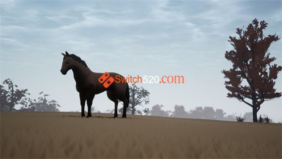 Adios/英文版/[NSP][原版]_2