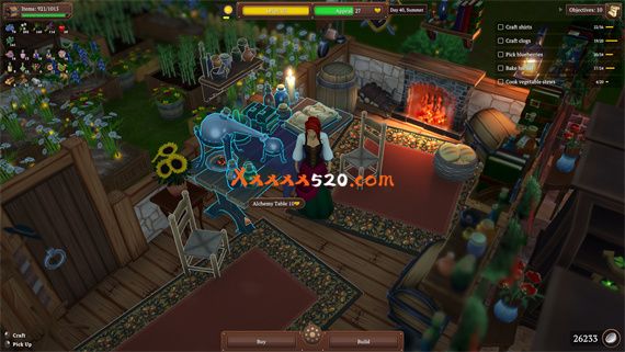 中世纪杂货店|官方中文|本体+1.0.11升补|NSZ|原版|_3