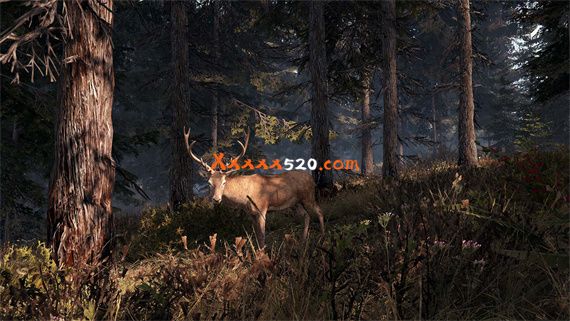 这是我的土地|官方中文|V1.0.3.19000|安装即撸|_7