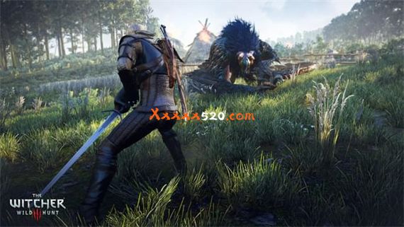 巫师3 狂猎|港版-中文-国语|本体+4.0.4A升补+1DLC+懂你MOD|NSZ|原版|_5