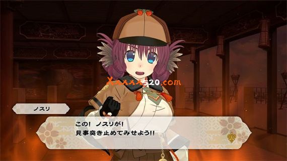 义贼侦探|原汁日文|NSP|原版|_3