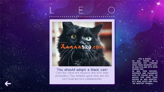 星座猫猫|官方中文|NSZ|原版|_3