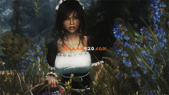 上古卷轴5天际|官方中文|V1.9.32.08-特殊MOD版-单独特殊MOD+人物满级存档+修改器|解压即撸|_4