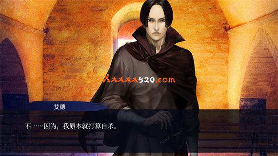 第七境|官方中文|NSZ|原版|_6