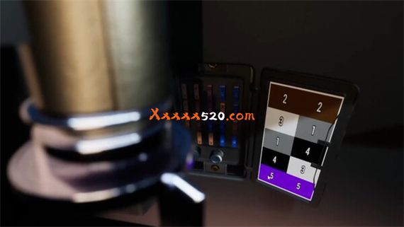 ROUGH JUSTICE 84|官方中文|V1.0.29|解压即撸|_2