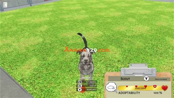 动物收容所|官方中文|本体+1.1.0升补|NSZ|原版|_2