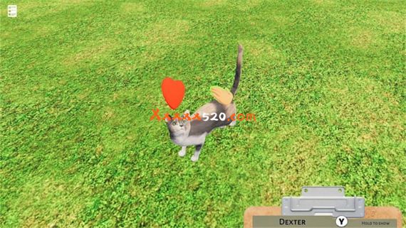 动物收容所|官方中文|本体+1.1.0升补|NSZ|原版|_6