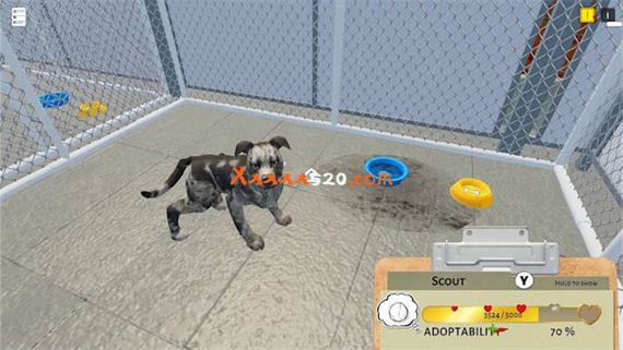 动物收容所|官方中文|本体+1.1.0升补|NSZ|原版|_7