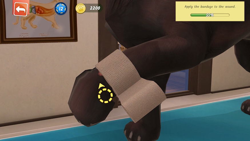 动物医院 Animal Hospital|官方中文|本体+1.1.0 升补|NSZ|原版|_4