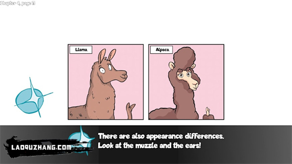 羊驼想知道为什么 Alpaca Wonders Why|官方中文|NSZ|原版|_1