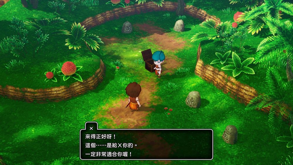 勇者斗恶龙10 觉醒的五种族 离线版|豪华中文|V2.0.0-夜樱斩魂-光耀天罚|解压即撸|_4