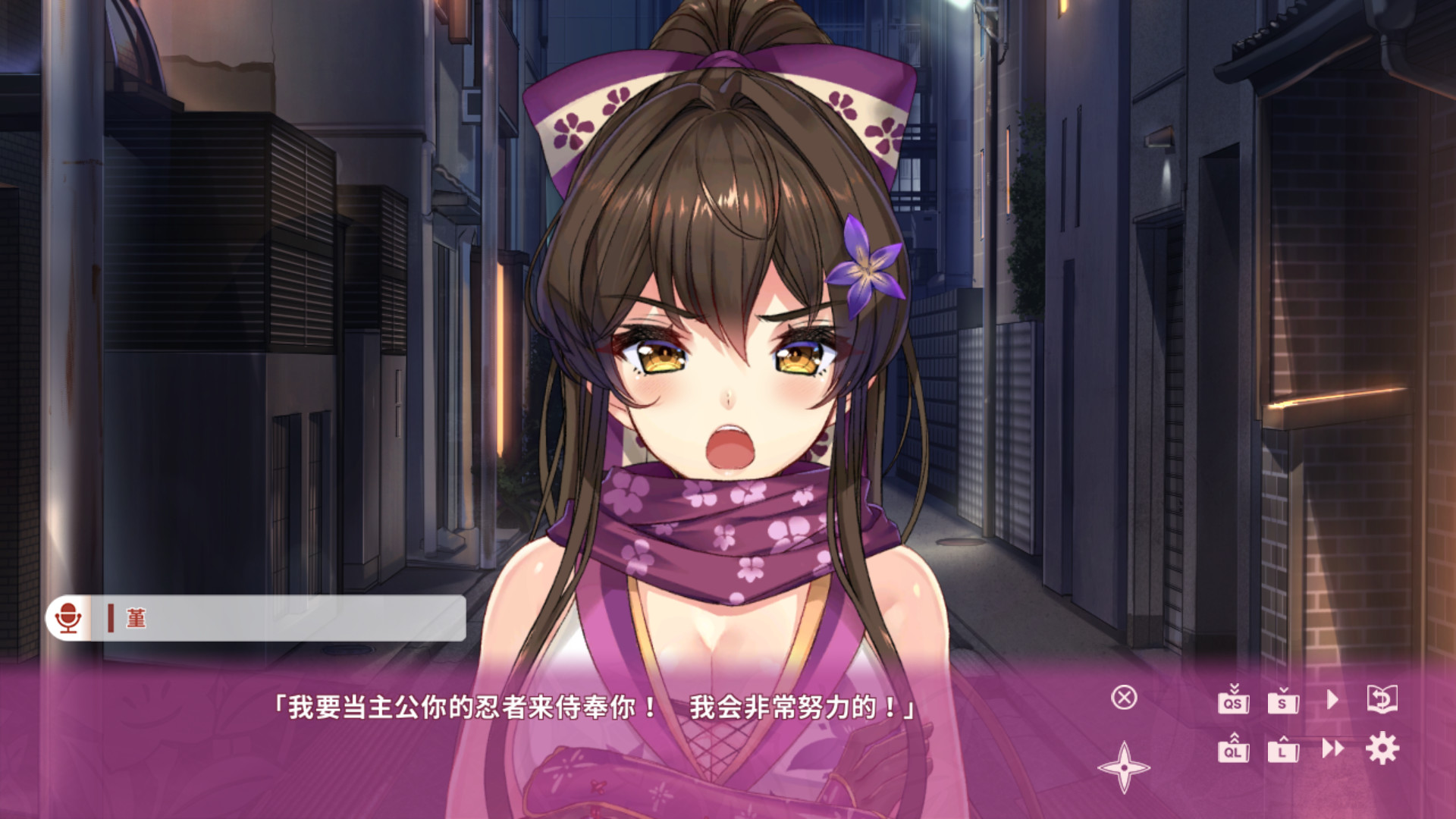 NinNinDays2 R18UNC/官方中文/[更新完美版][NSP]_10