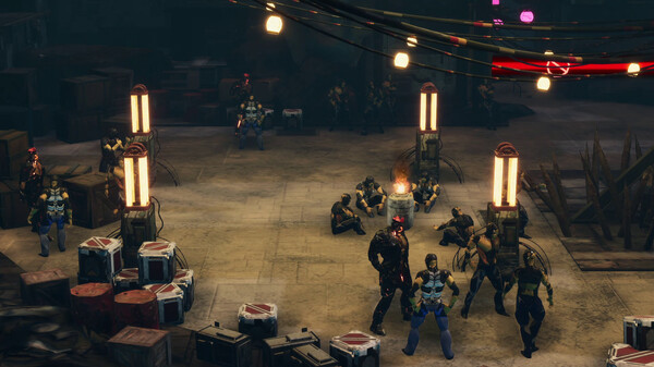 Exsys|官方中文|解压即撸|_15