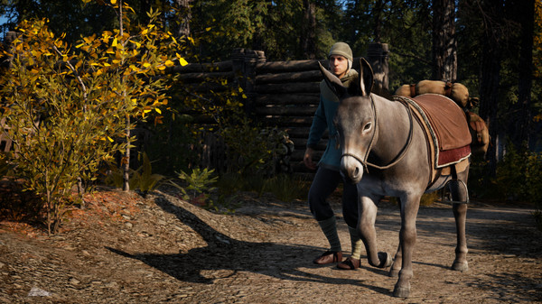 中世纪王朝|官方中文|V2.4.2.0+自然回声DLC+全DLC+修改器|解压即撸|_8