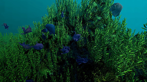 生态系统 Ecosystem|官方中文|解压即撸|_4