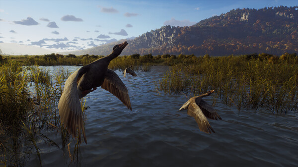 猎人之路 精英版|官方中文|V1.29-新枪支包+全DLC|解压即撸|_8