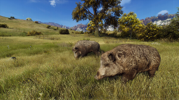 猎人之路 精英版|官方中文|V1.29-新枪支包+全DLC|解压即撸|_12