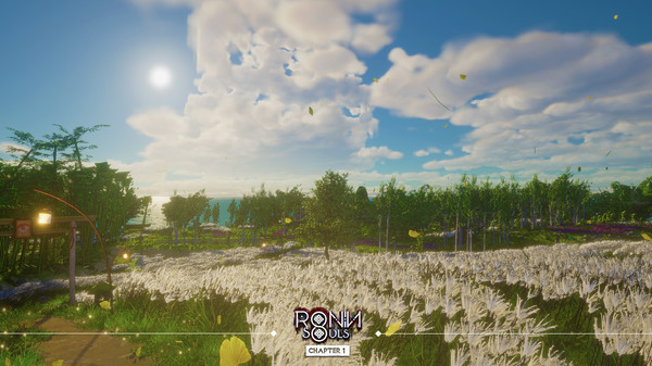 浪人 双魂 第一章|官方中文|V8801704|解压即撸|_3