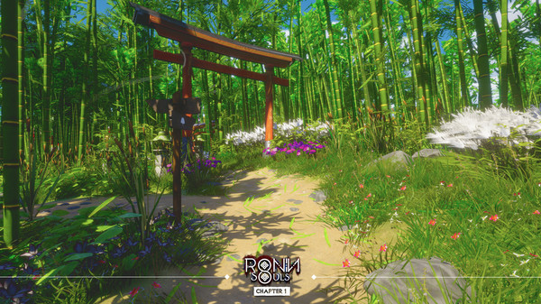 浪人 双魂 第一章|官方中文|V8801704|解压即撸|_8