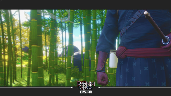 浪人 双魂 第一章|官方中文|V8801704|解压即撸|_2