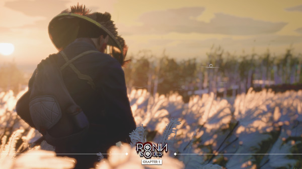 浪人 双魂 第一章|官方中文|V8801704|解压即撸|_1