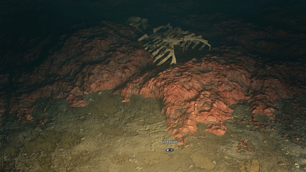 神圣卡塔尔|官方中文|V1.51+全DLC|安装即撸|_8