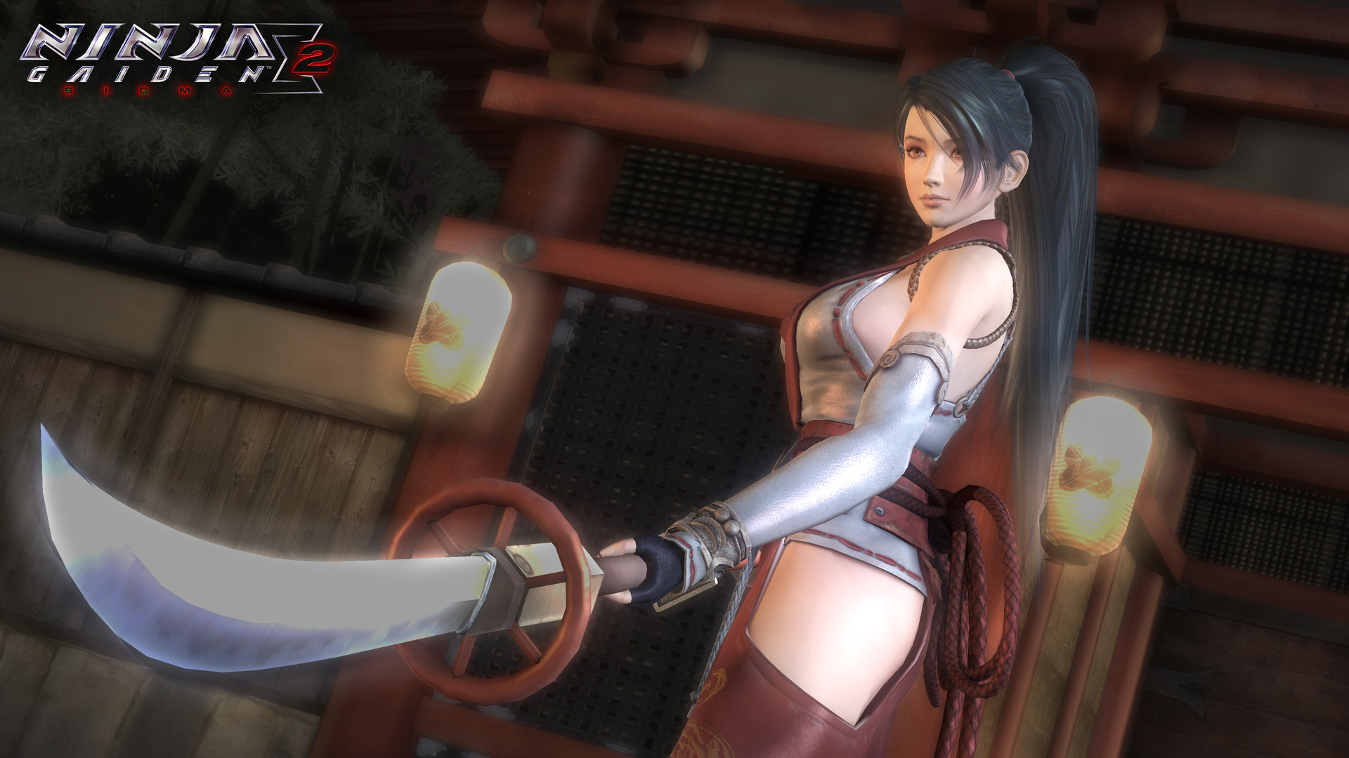 忍者龙剑传 大师合集|豪华中文|V1.03-狂刃怒涛-龙影破晓+全DLC|解压即撸|_15