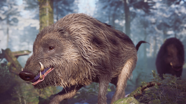 冬日幸存者|官方中文|Build.15568691-寒夜求生-风雪幸存|解压即撸|_5