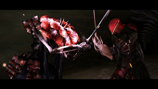 常青秩序 Perennial Order|官方中文|解压即撸|_1