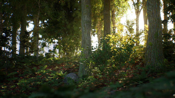 石头模拟器|官方中文|Build.19671311|解压即撸|_7