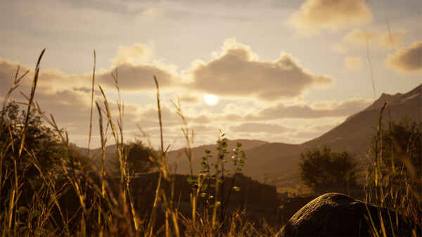 石头模拟器|官方中文|Build.19671311|解压即撸|_12