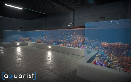 Aquarist 建造水族馆 养鱼 发展你的事业|官方中文|Build.13870405+日本花园DLC+全DLC|解压即撸|_3