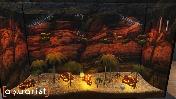 Aquarist 建造水族馆 养鱼 发展你的事业|官方中文|Build.13870405+日本花园DLC+全DLC|解压即撸|_2