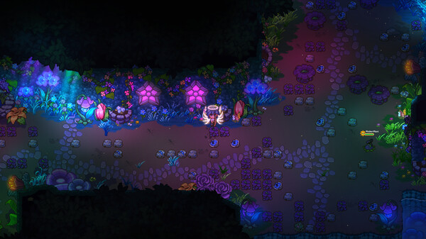 太阳港 Sun Haven|官方中文|本体+2.5.2k升补|NSZ|原版|_12