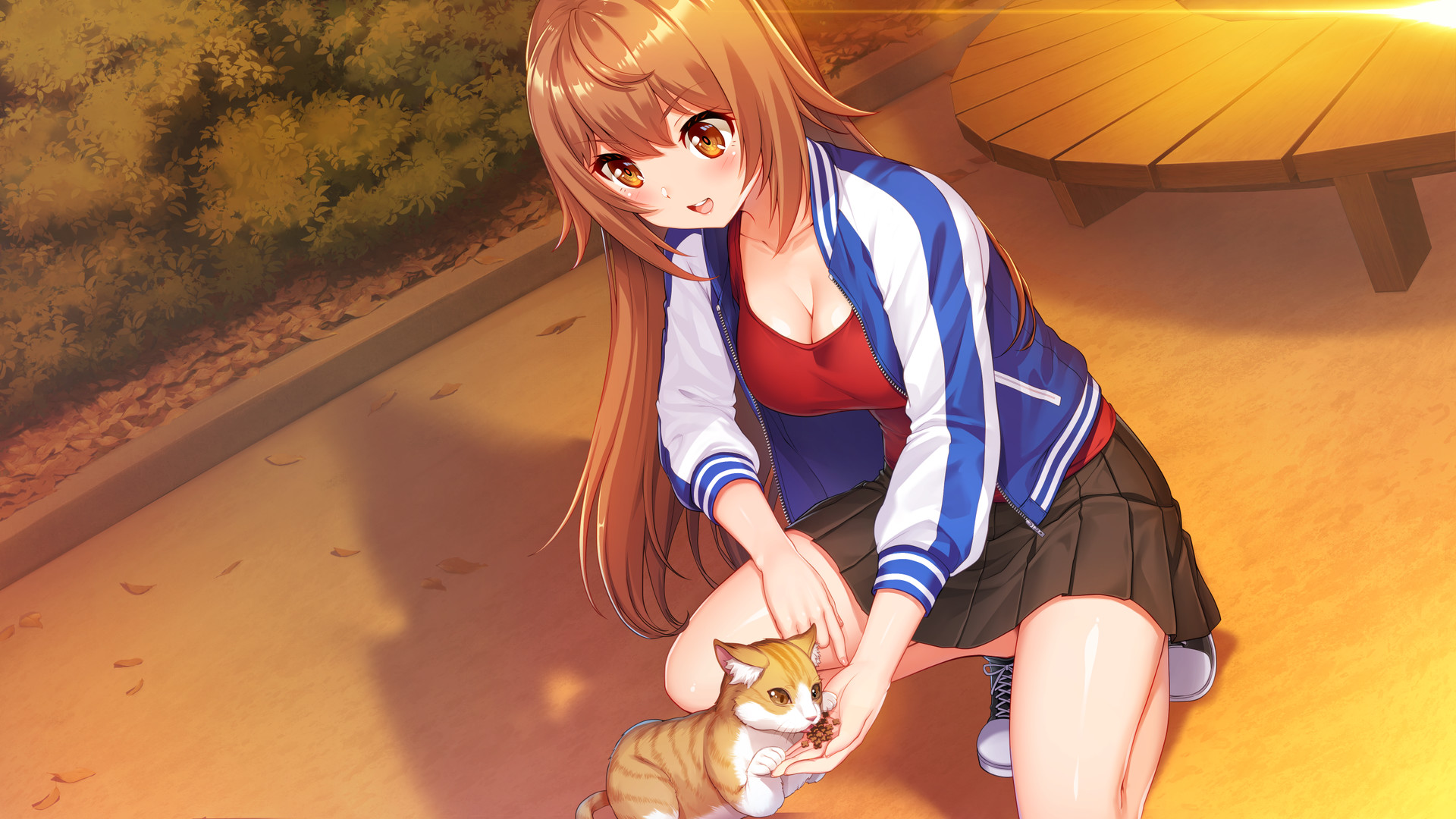 偶像日/官方中文/完美学习版_4