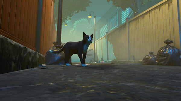 冒牌猫谜 Copycat|官方中文|解压即撸|_1