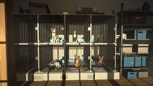 冒牌猫谜 Copycat|官方中文|解压即撸|_7