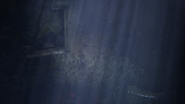 荆棘 山之王|官方中文|本体+1.0.7升补|NSZ|原版|_4