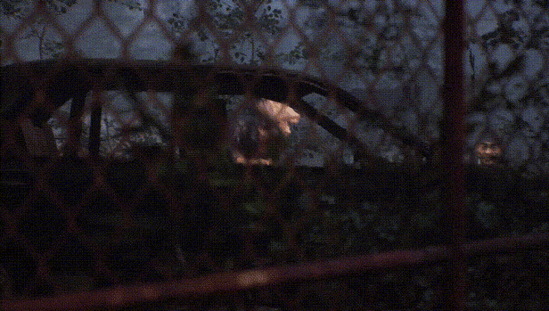 生死轮回 Loopmancer|V1.0.3.3+全DLC+中文语音-支持手柄|解压即撸|_9