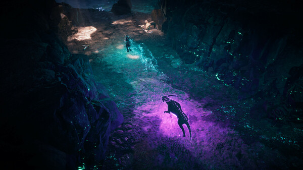 科里登 Coridden|官方中文|Build.20382655-兽魂觉醒-暗血咆哮+全DLC|解压即撸|_11