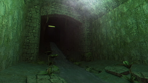 月下之癫 Lunacid|官方中文|Build.18030036|解压即撸|_12