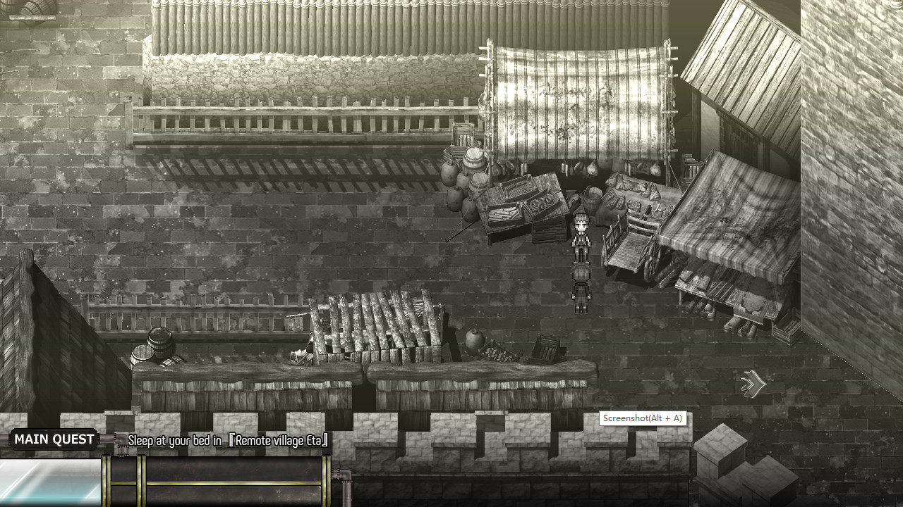 魔法与欲望 花篮中的琪莎拉|官中+全DLC|解压即撸|_4