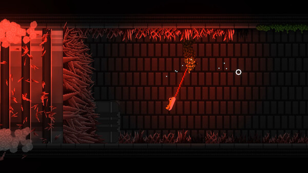 VINE|官方中文|安装即撸|_6