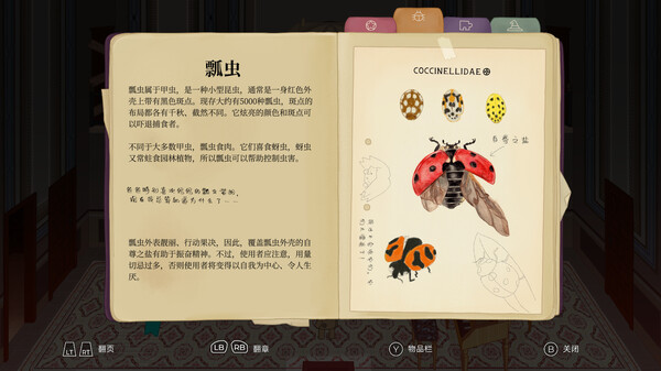 克莱姆 CLeM|官方中文|本体+1.0.2升补|NSZ|原版|_6