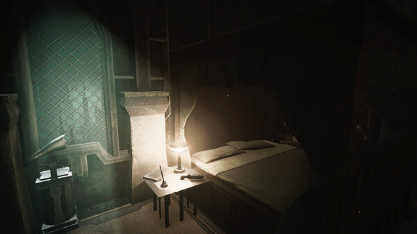 寂静的天鹅 The Silent Swan|官方中文|解压即撸|_3