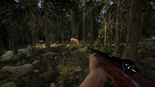 常青 山区生活模拟器|官方中文|V1.1.2|解压即撸|_2